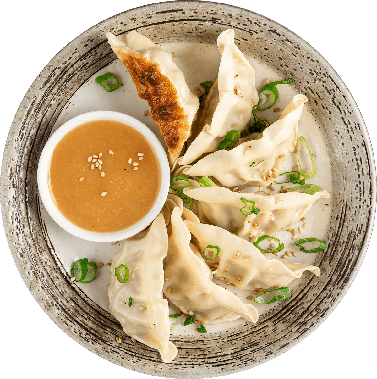 Gyoza on a plate with green onions and sauce